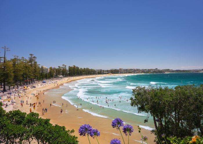 Discover pubs showing live sport in Manly