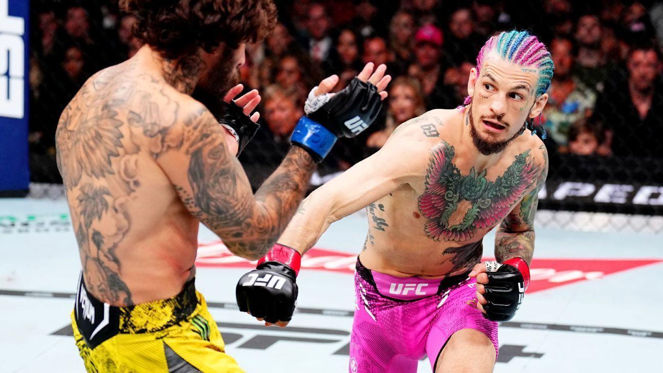 pubs showing O'Malley, bars showing O'Malley, pubs showing UFC, bars showing UFC